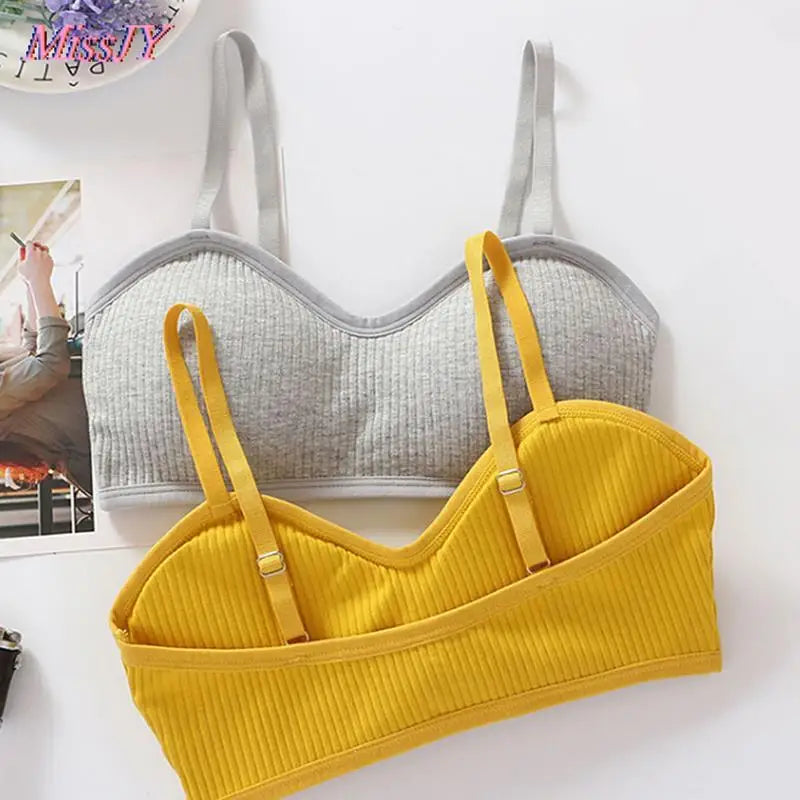 Women Sexy Bras For Invisible Push Up Lingerie Padded Bralette Wrap Top Bra Bustier Female Underwear